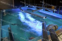 bovenaanzicht roofvissenaquarium