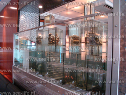 Homarium van hoogwaardig roest vrij staal