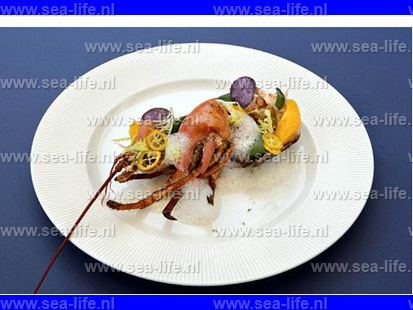  Nieuw op de website: Recensie Hotel Restaurant Savelberg