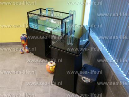 Homarium Primeur & Oesterpiramide uitgevoerd in Solid Black