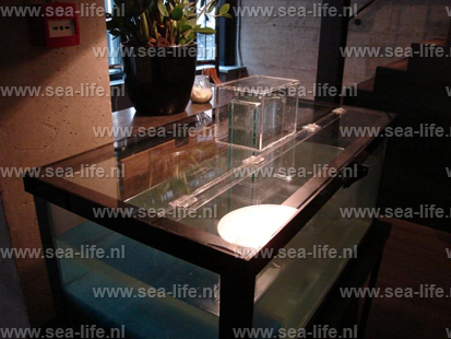 Nieuw transparante afdekkap homarium Primeur