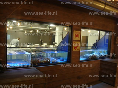 Groothandel leefsysteem voor schaal- en schelpdieren