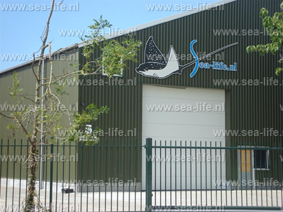 Opening nieuw pand Sealife