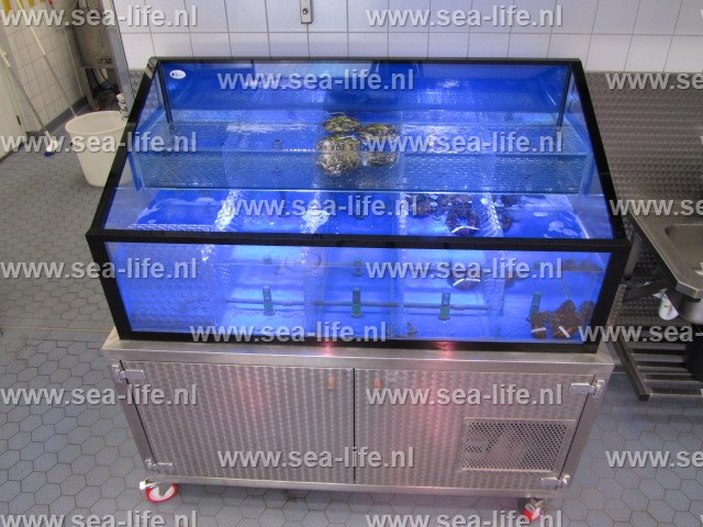 Leefsysteem voor schaal- en schelpdieren