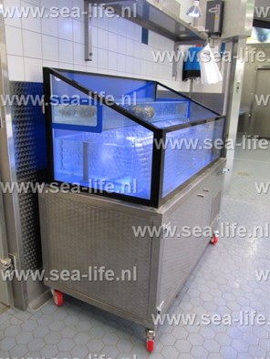 Leefsysteem schaal- en schelpdieren