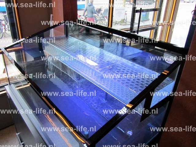 Bijzonder mooi exclusief homarium waarin u ook uw oesters prachtig kunt presenteren