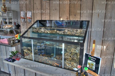 Homarium bekleed met steigerhout