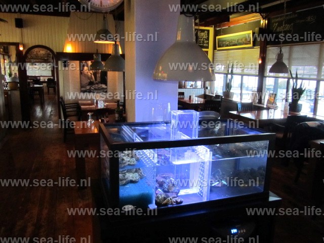 Weer een homarium afgeleverd op een prachtige locatie, klant is super tevreden!