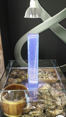 Oester piramide