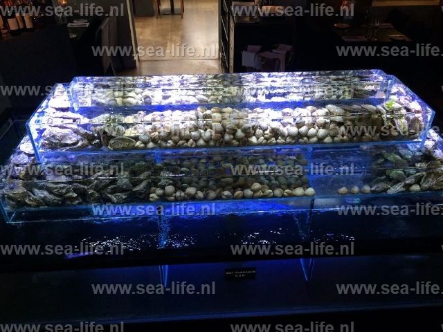 Schaal- en schelpdieren leefsysteem, homarium voor kokkels, oesters, vongolen en kreeft