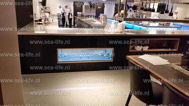 Prachtig homarium ingebouwd onder uitgiftebalie Live Cooking