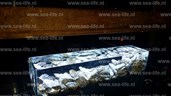 homarium 