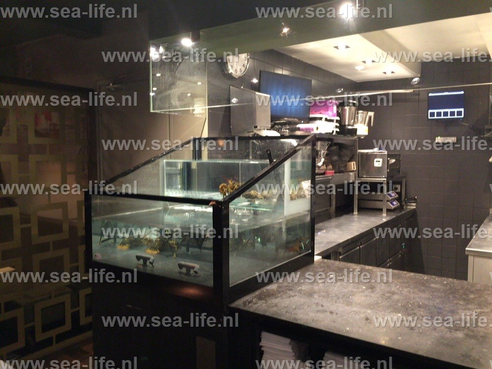 Leefsysteem voor schaal- en schelpdieren  in restaurant van top niveau.