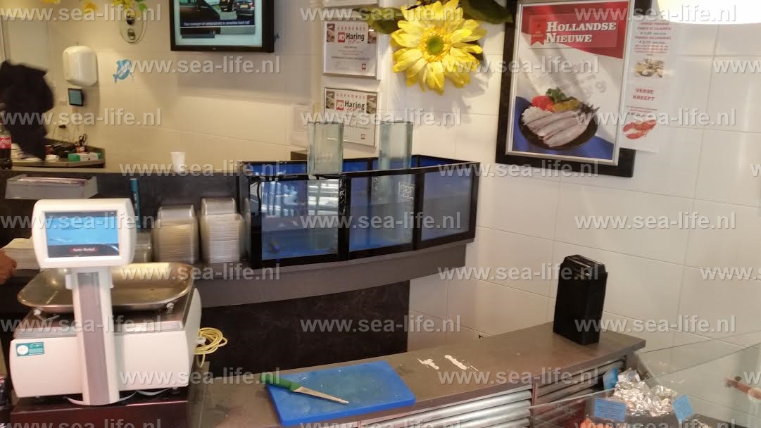 Homarium uit meerdere segmenten opgebouwd geheel naar wens van de klant