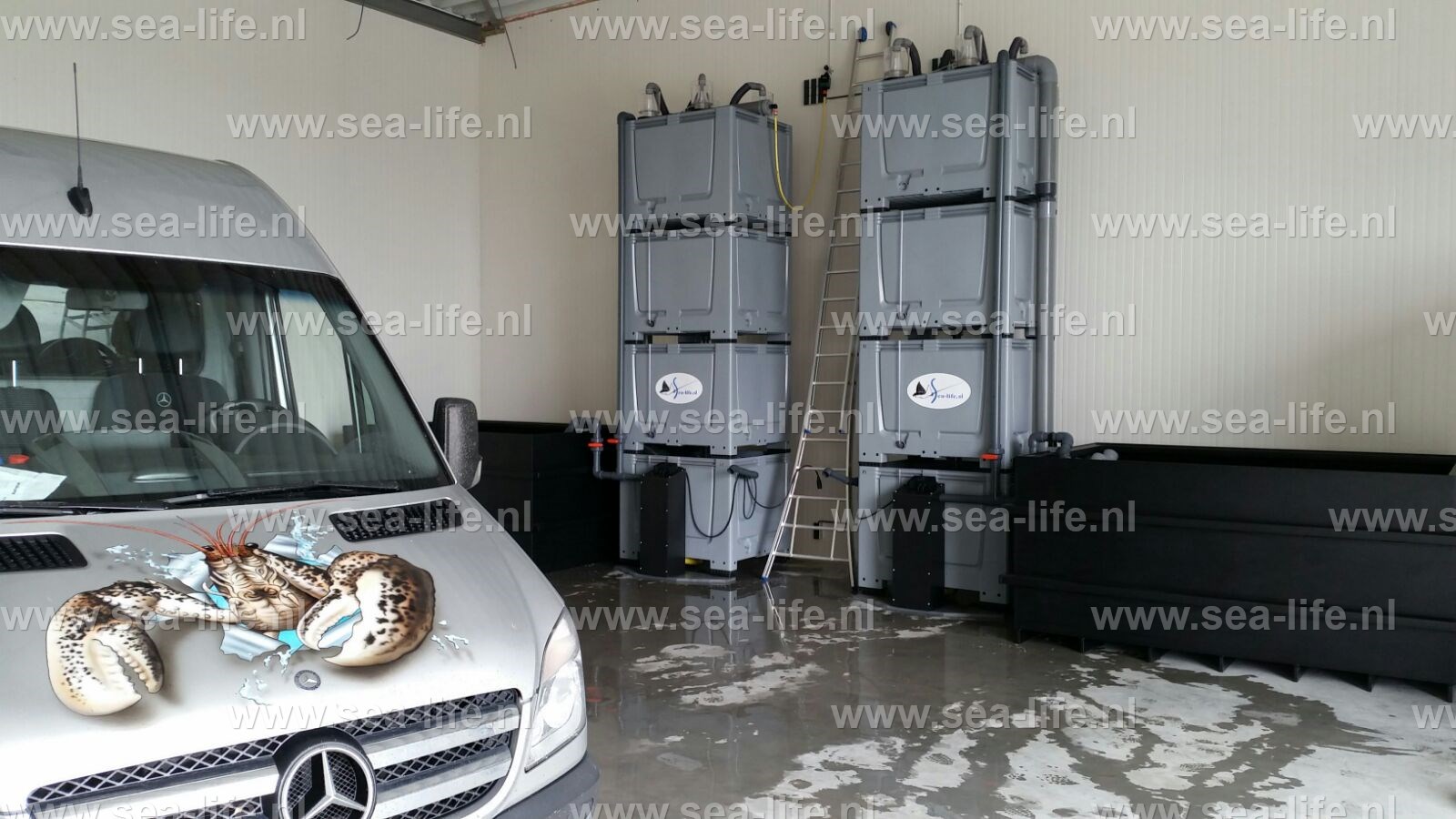 Bunker opslag leefsysteem voor het conditioneren van schaaldieren