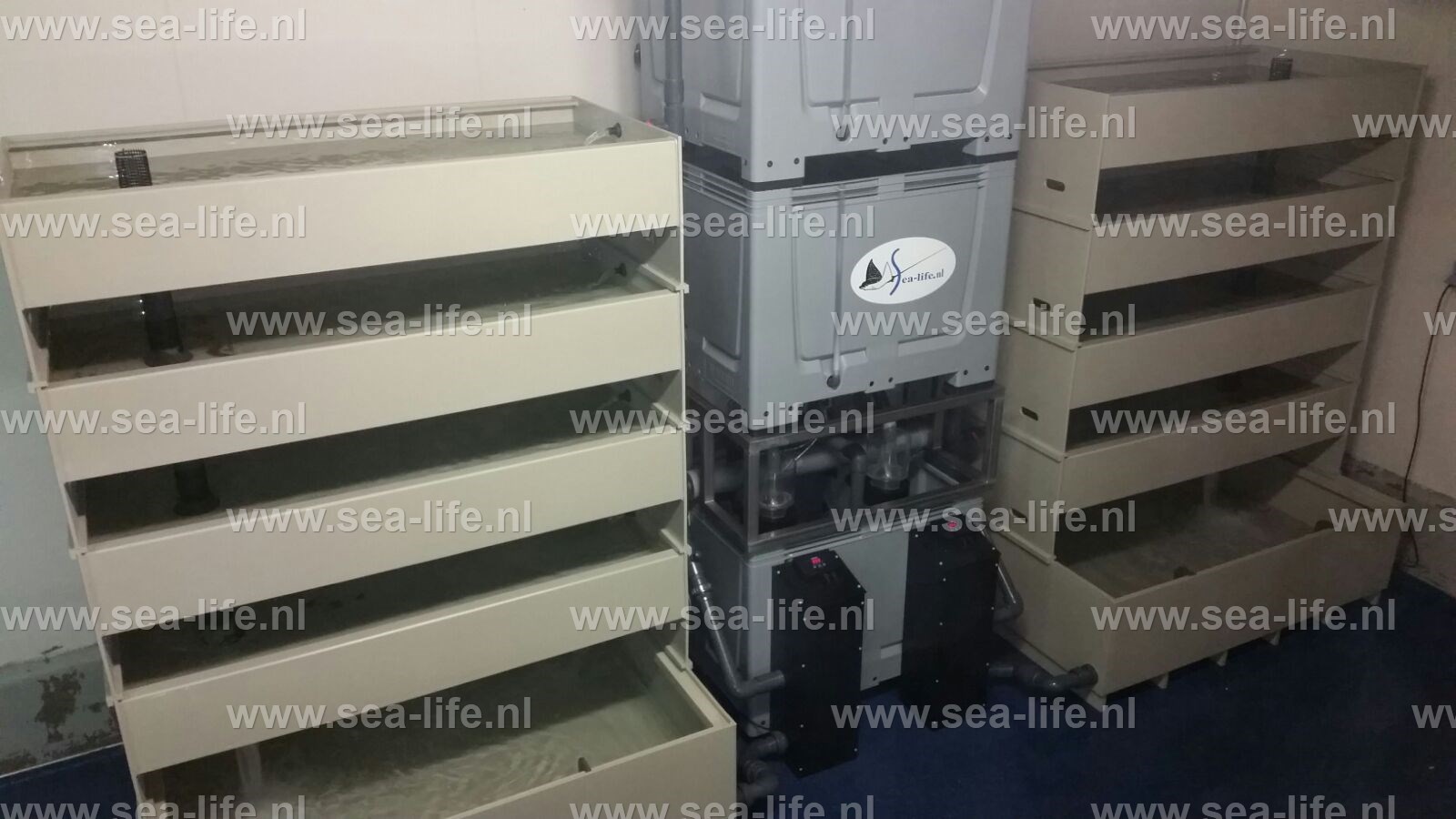 10 laags bunker opslag leefsysteem voor kreeft