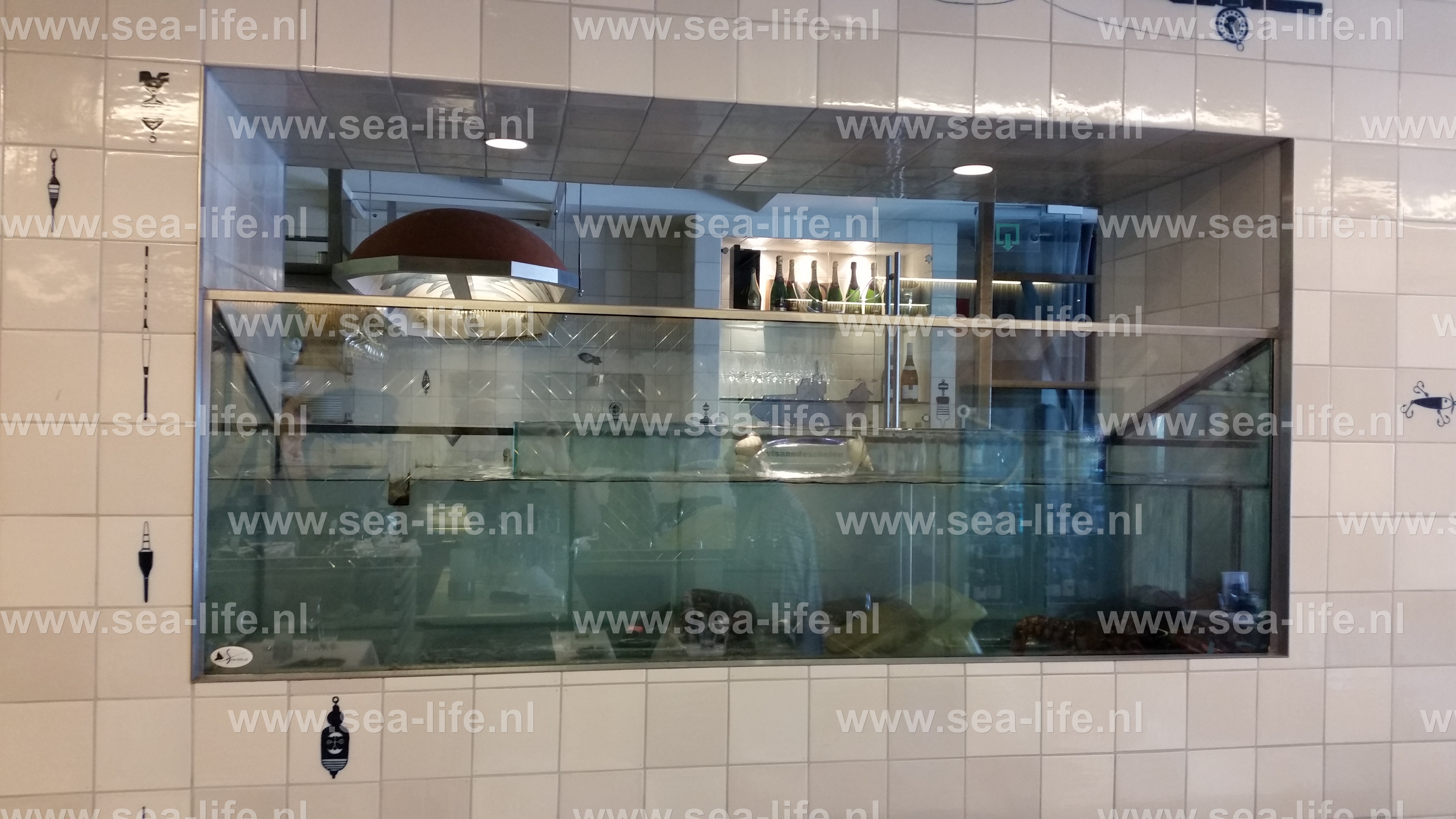 Prachtig ingebouwd homarium 