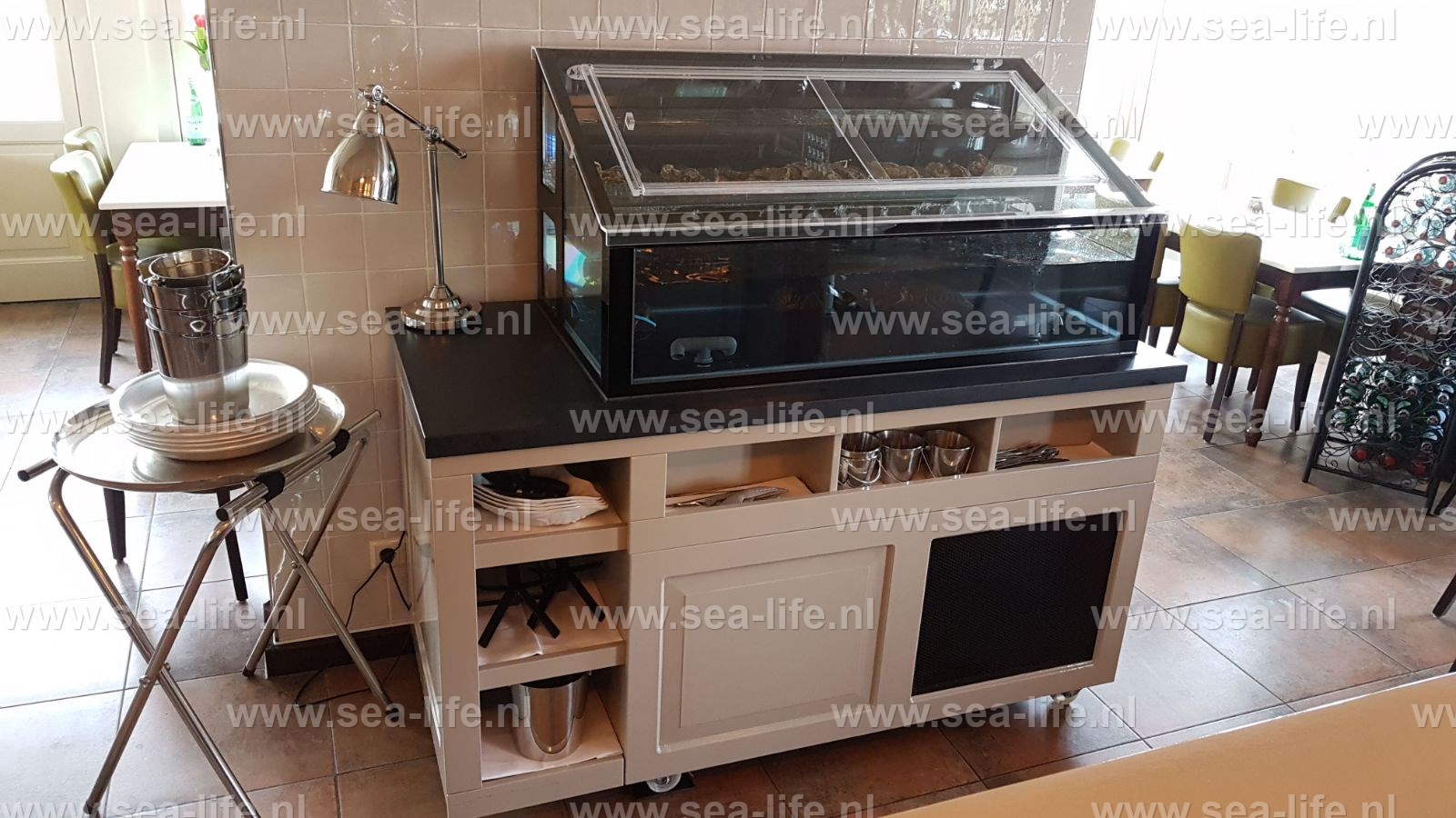 Seafood  homarium voor Fruits de Mer  kreeft  oesters  kokkels  vongole  scheermessen