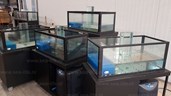 Onderhoud homarium