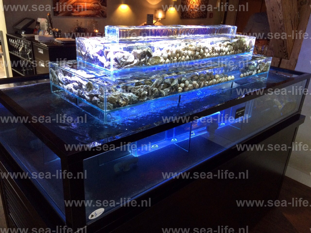 Homarium voor Fruits de Mer visrestaurant Texel.