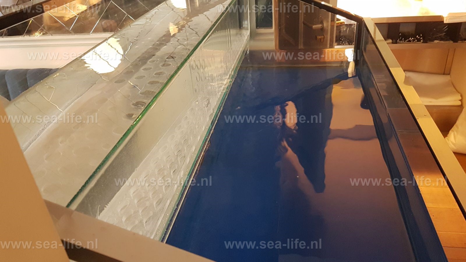 Design homarium met meubel van  corten staal