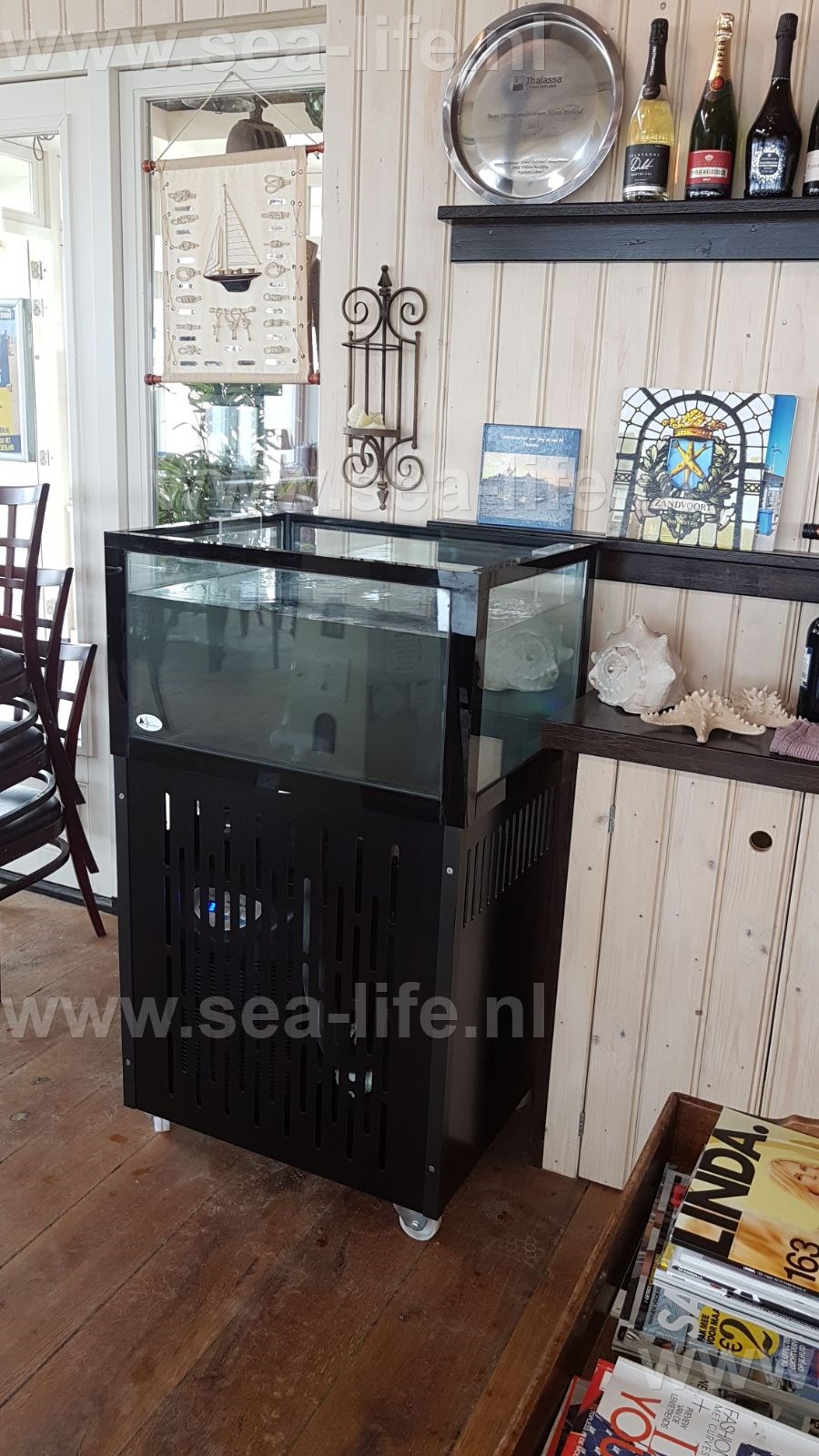 Homarium Flathead nieuw in ons assortiment