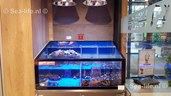 IMG-20190108-WA0001