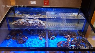 IMG-20190108-WA0002