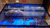IMG-20190108-WA0002