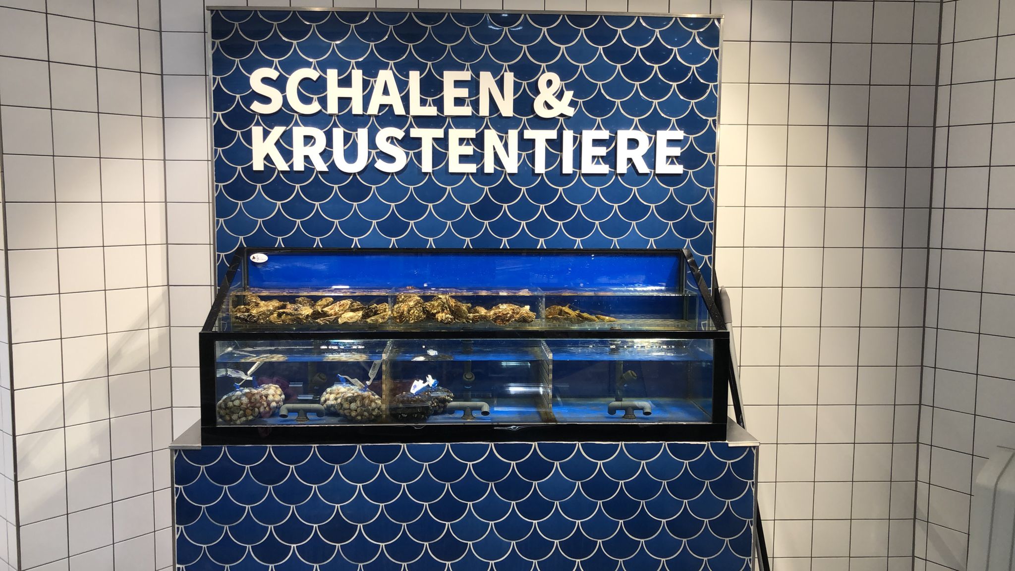 Prachtig design Sea-life.nl homarium op de luxe visafdeling van Supermarkt 2 Gebrűder te Venlo.