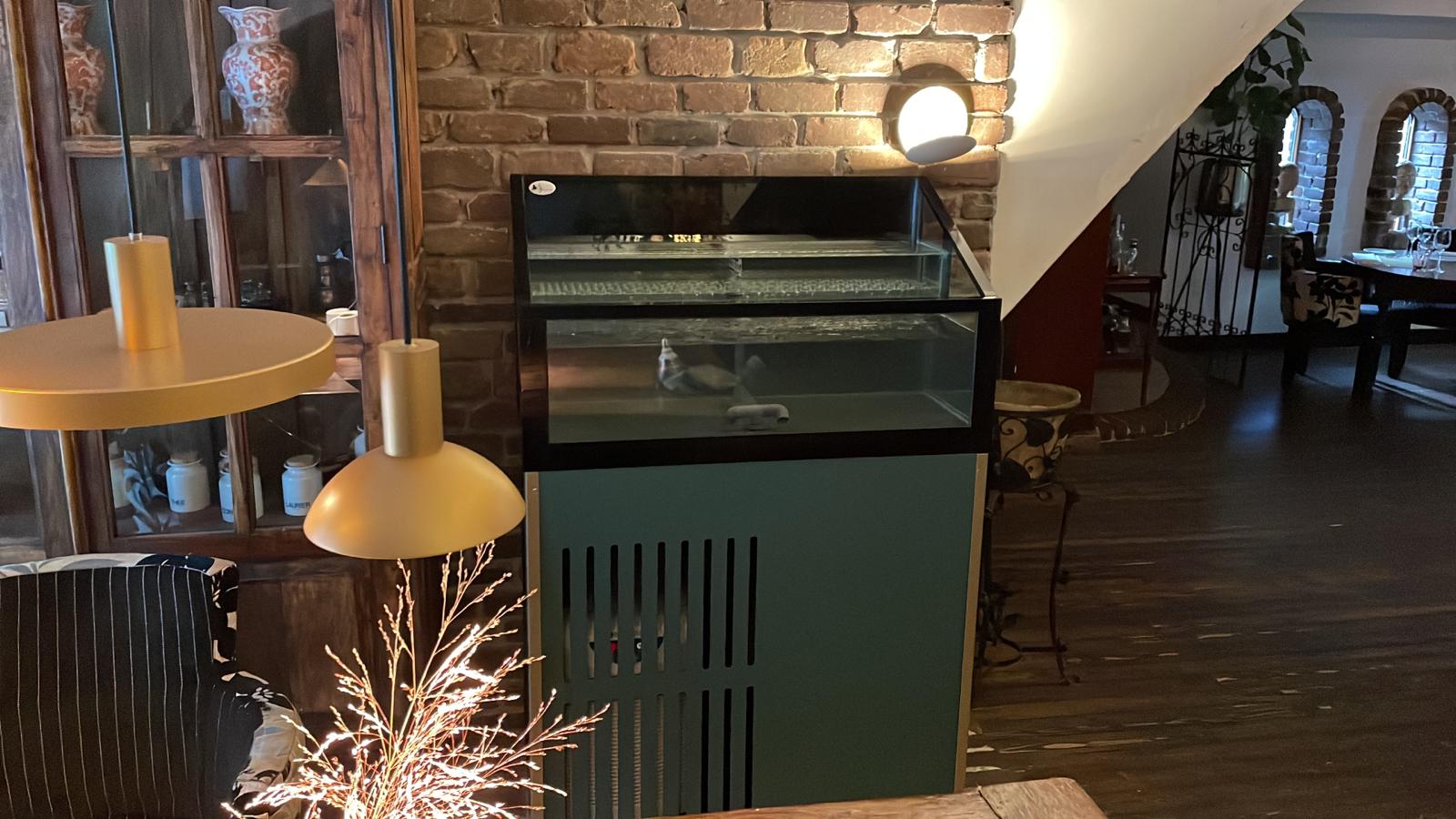 Homarium Liberator Green